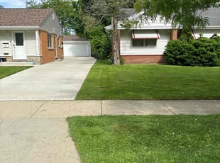 Conn B.'s Lawn Mowing service result