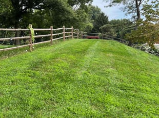 Andrea M.'s Lawn Service service result