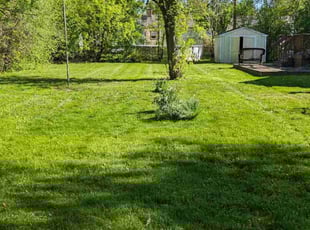 Mary d.'s Lawn Service service result