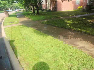 Sonya M.'s Lawn Mowing Service service result