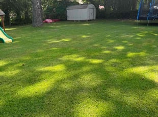 Pat M.'s Lawn Mowing Service service result
