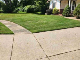 Eugene P.'s Lawn Service service result