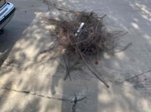 Cleanups by Maurice Washington for Emily G. in Grand Prairie, TX