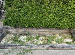 Bush Trimming by Bryan Fletcher for Benjamin P. in Kansas City, MO