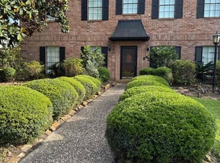 Bush Trimming by Roberto Villalobos for Kate M. in Katy, TX