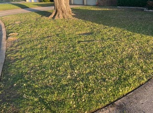 Anita p.'s Lawn Care service result