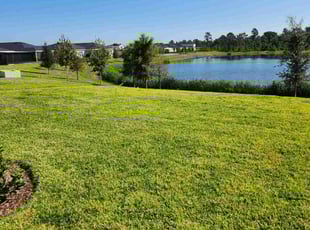 Alita C.'s Lawn Service service result