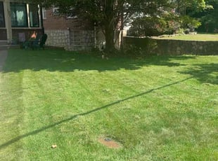 Joe M.'s Lawn Service service result
