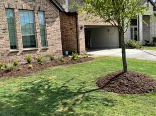 James W.'s Lawn Mowing service result
