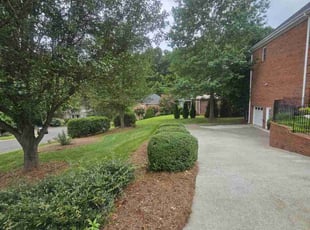 Alexus B.'s Lawn Maintenance service result