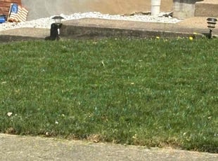 Denise O.'s Lawn Service service result