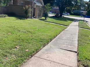 Jason O.'s Lawn Maintenance service result
