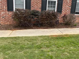 Michael M.'s Lawn Service service result