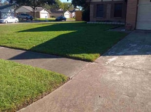 Alexis S.'s Lawn Service service result
