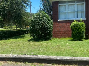Michael P.'s Bush Trimming service result
