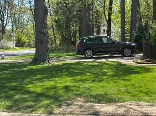 Kiaryah W.'s Lawn Care service result