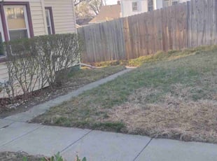Bush Trimming by Charles Hamlin for Charyl S. in Council Bluffs, IA