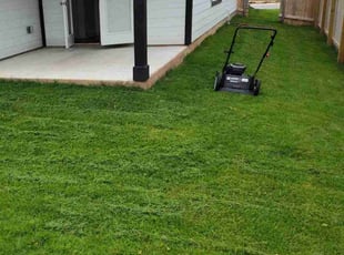 Henrietta L.'s Lawn Service service result