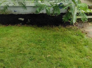 Mulching by Matthew Spinelli for Sam S. in New Haven, CT