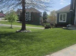 Michelle Z.'s Lawn Mowing Service service result