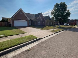 Dewayne I.'s Lawn Mowing service result