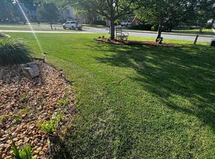 Devin R.'s Lawn Care service result