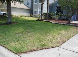 Bush Trimming by Robert Pierson for Zak K. in Hudson, FL