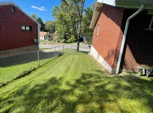Angie D.'s Lawn Maintenance service result
