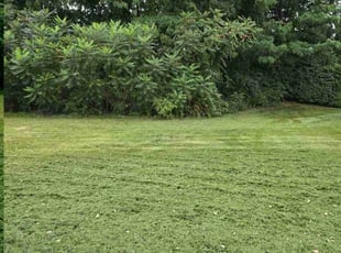 John A.'s Lawn Maintenance service result
