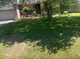 Bush Trimming by Jonathan Jones for Jameka T. in Slidell, LA