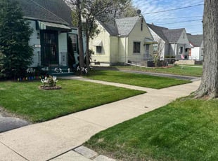 Jean A.'s Lawn Mowing service result