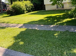 Cindi R.'s Lawn Maintenance service result