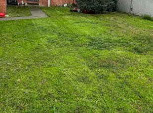 Robert B.'s Lawn Care service result