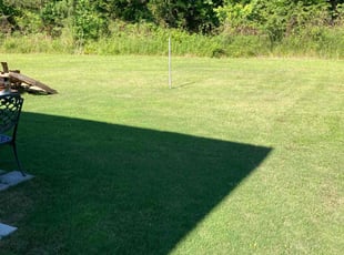 Kathleen T.'s Grass Cutting service result