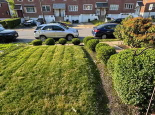Deborah L.'s Lawn Care service result