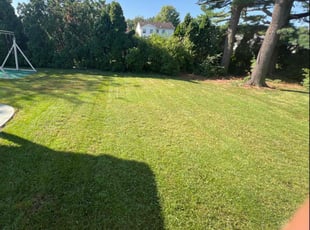 Gerard G.'s Lawn Care service result