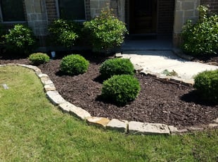 Cleanups by Wade Rupe for Jennifer H. in Grand Prairie, TX