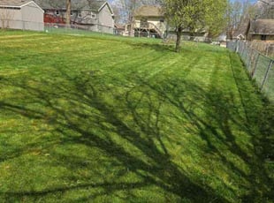Eve L.'s Lawn Service service result