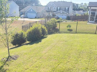 Stephanie G.'s Yard Cutting service result