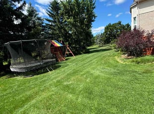Lorrie L.'s Lawn Mowing service result