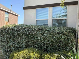 Jessica C.'s Yard Cutting service result