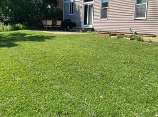 Rommel C.'s Lawn Service service result