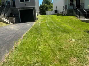 Jennifer V.'s Lawn Maintenance service result
