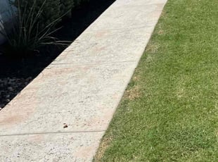 Bryan W.'s Lawn Service service result