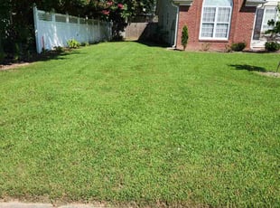 LeVar M.'s Lawn Mowing Service service result