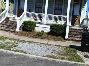 Bush Trimming by Derrick Washington for Tim G. in New Orleans, LA