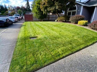 Mike S.'s Lawn Mowing Service service result