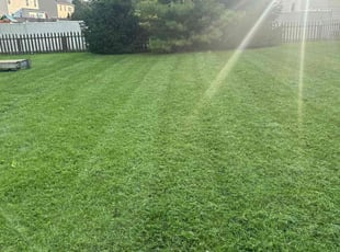 Wendy C.'s Lawn Mowing service result