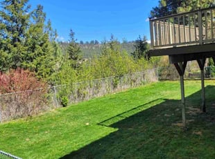 Kristy A.'s Grass Cutting service result