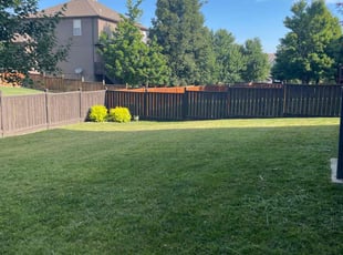 Kathleen S.'s Lawn Care service result